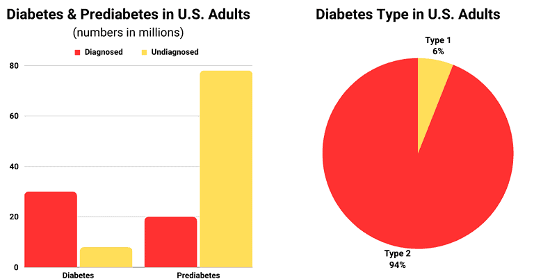 Health Issues in America - Diabetes in Adults Pie Chart