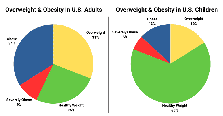 Health Issues in America - Overweight and Obesity Pie Chart